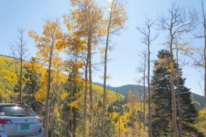 20201020FallColors2020177.jpg
